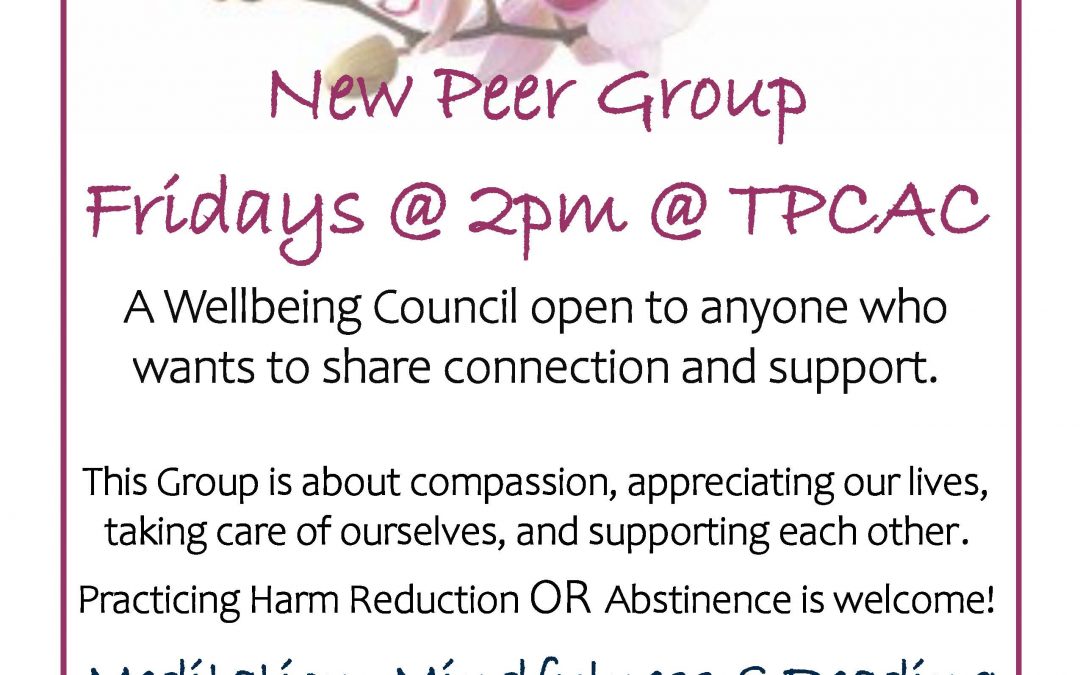 Wellbeing Council Group